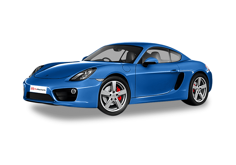 Porsche Cayman Petrol
